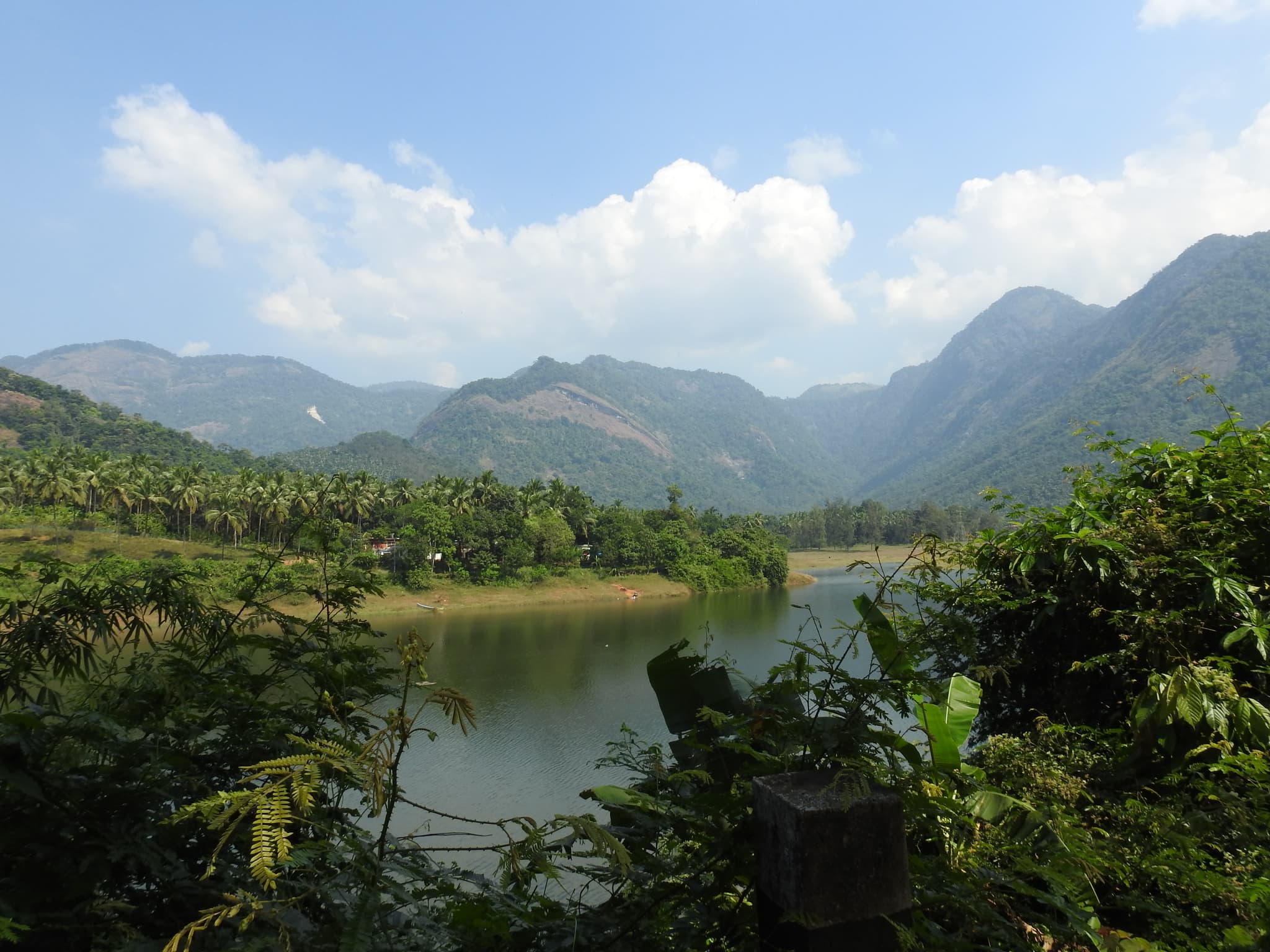 An emerald lake surrounded by mountains and palm trees