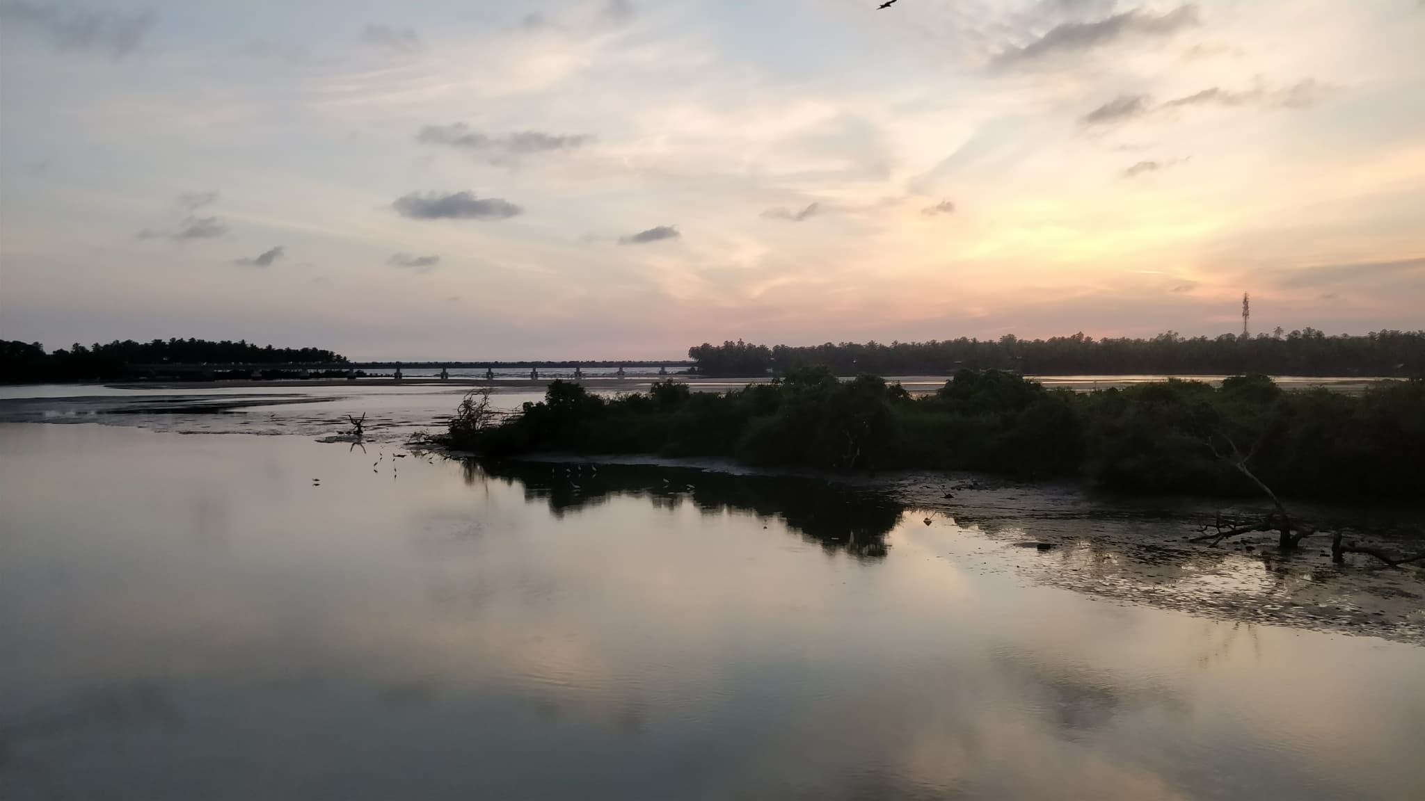 Calm estuary at sunset with mangrove islands and reflections, soft pastel sky
