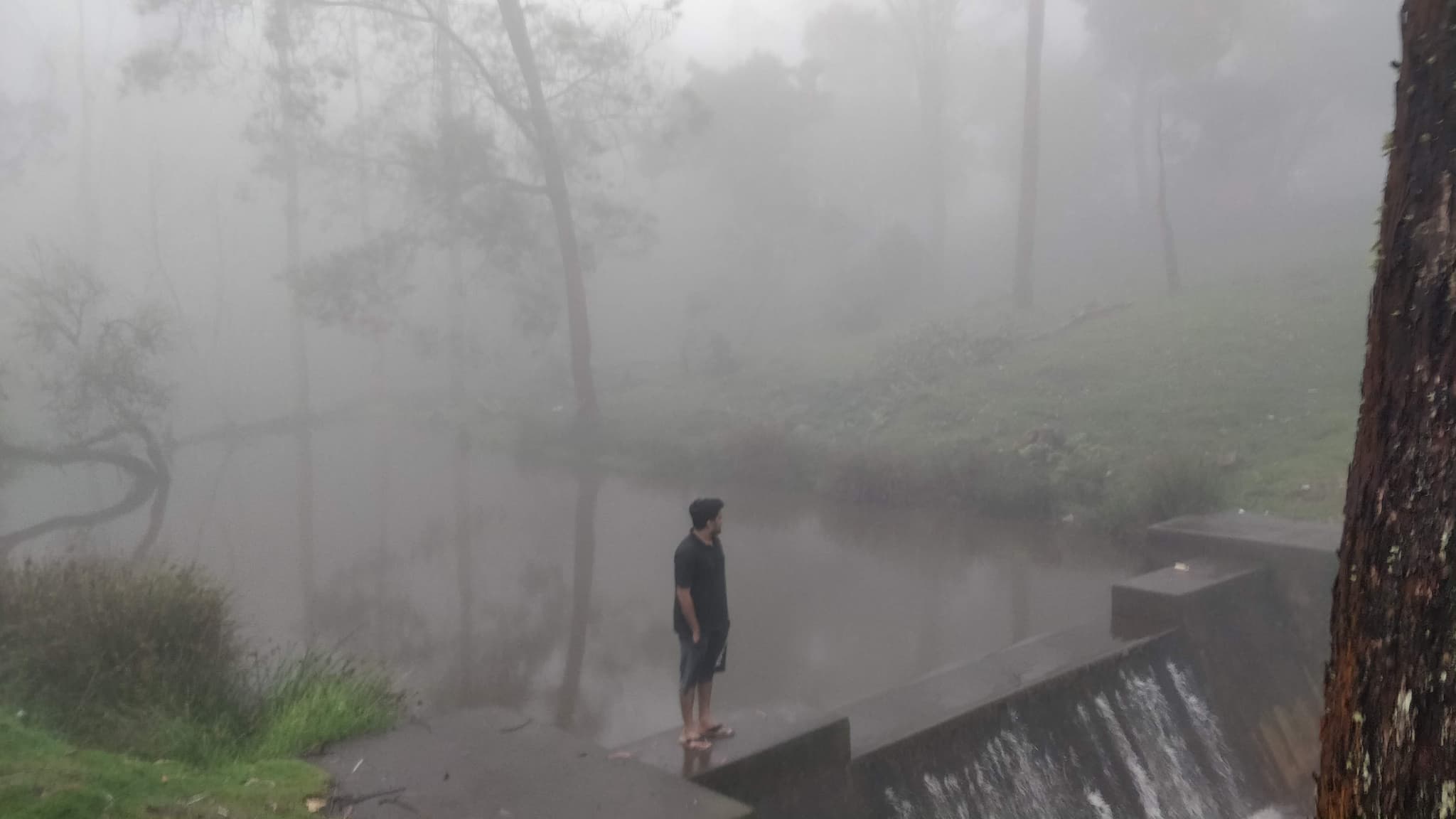 Person standing by a misty pond with fog-shrouded trees