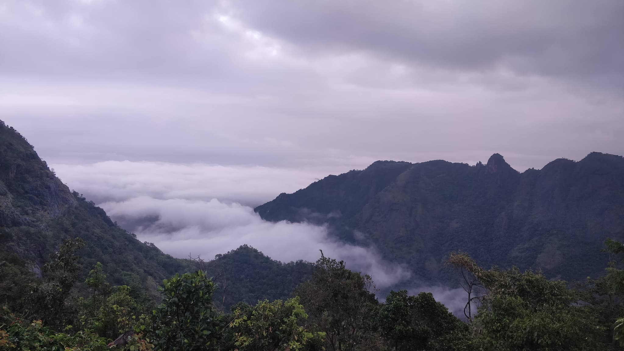 Mountain peaks rising above a sea of clouds at dawn