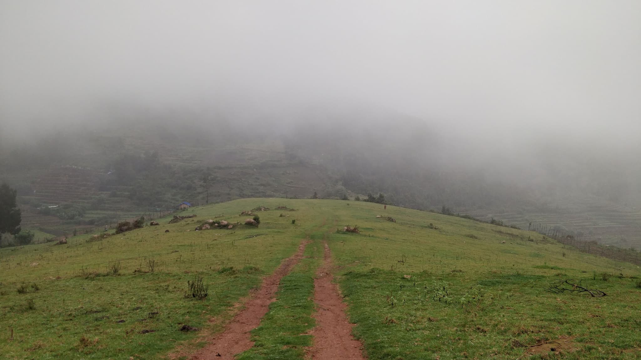 Red dirt track leading up a green foggy hill, misty terraces in background