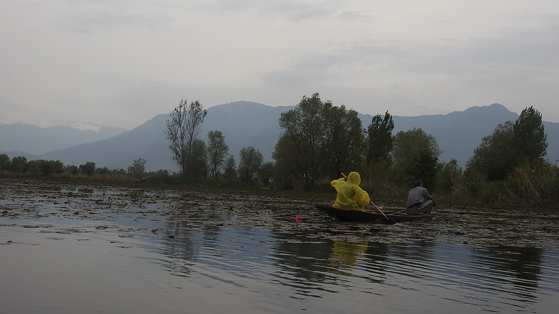 Shikara boat on Dal Lake with mountains and mist in background