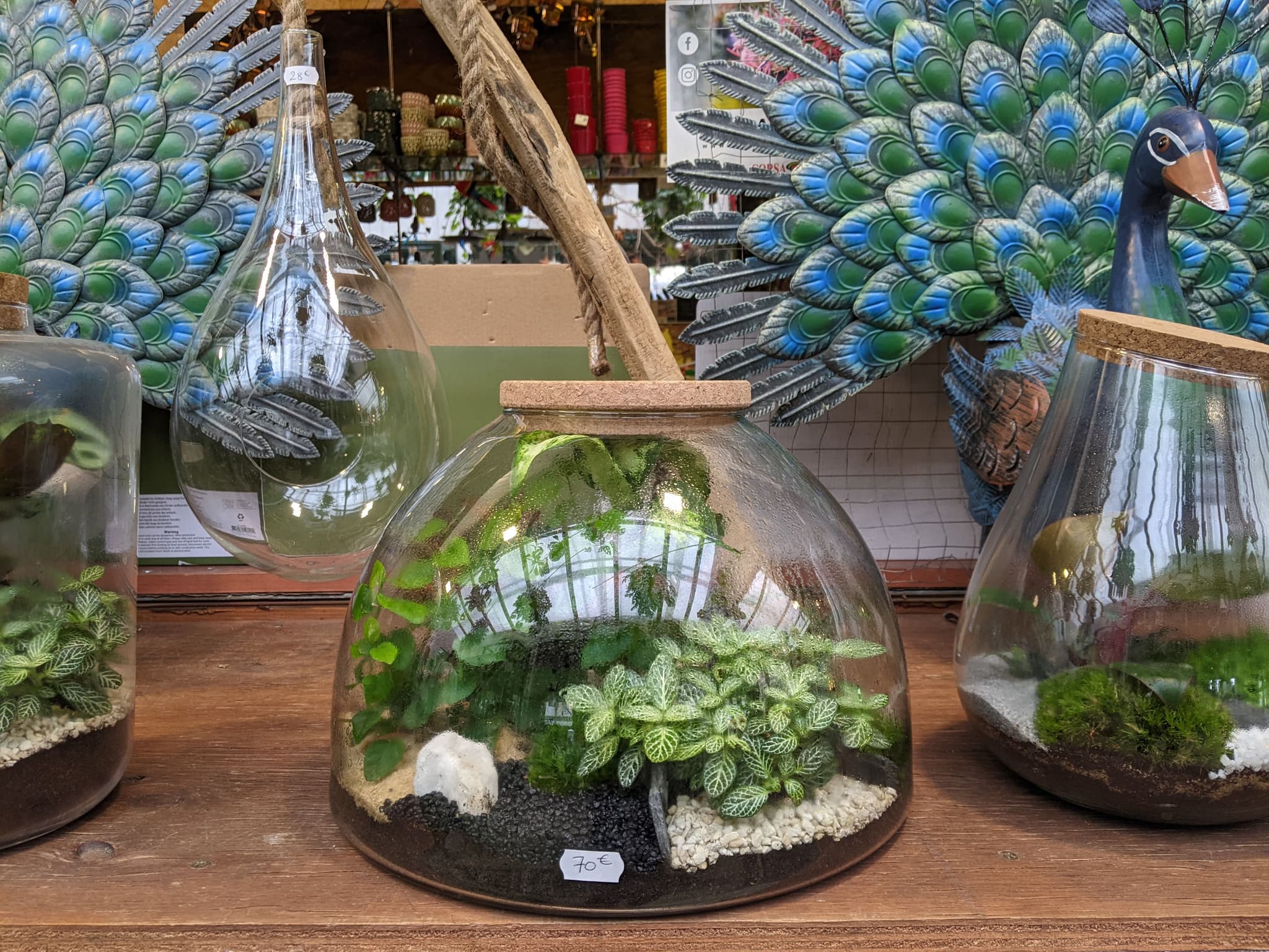 Glass terrariums and a decorative peacock figurine displayed on a shop shelf