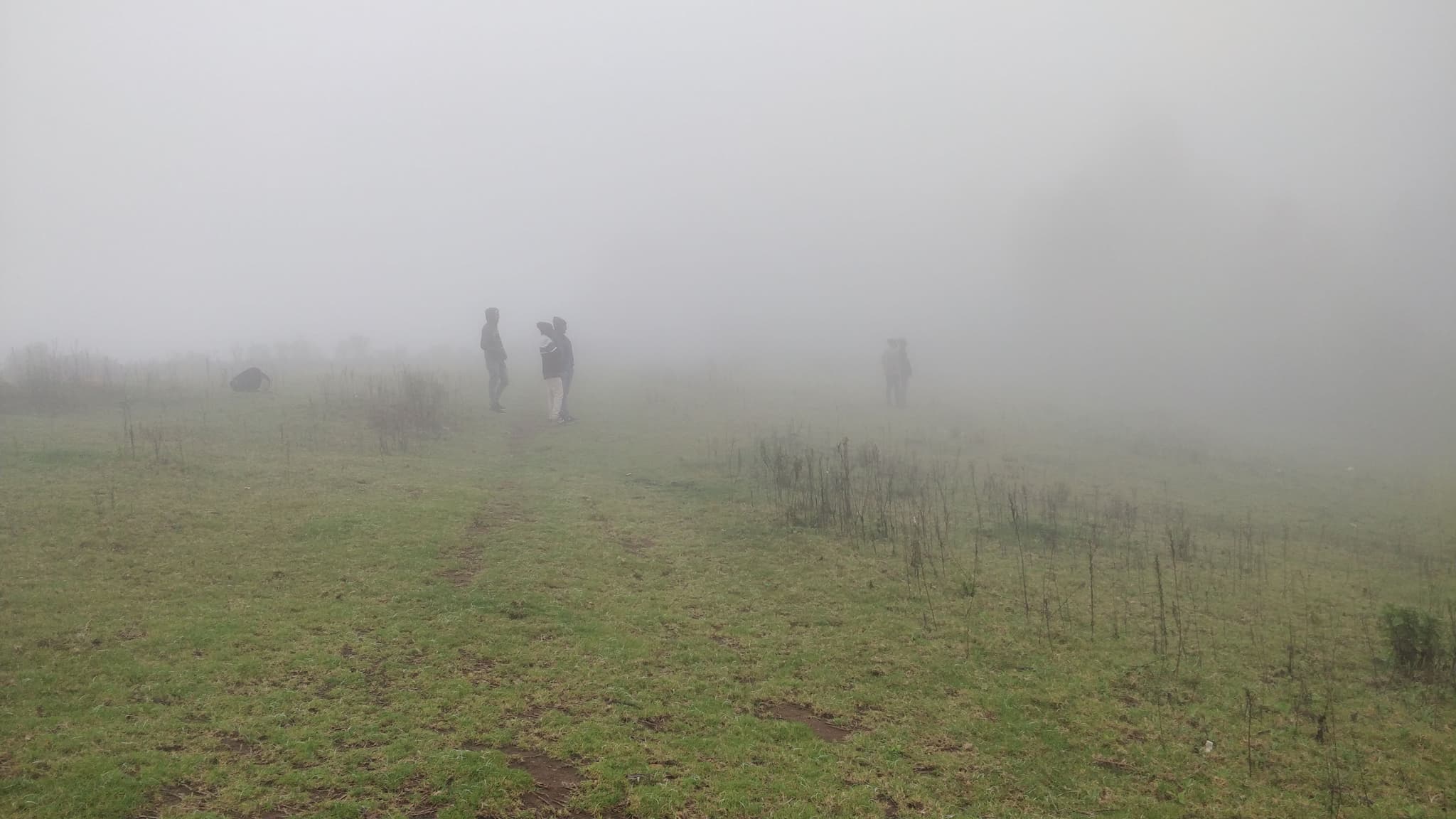 Hikers walking through thick fog on green hillside, barely visible silhouettes